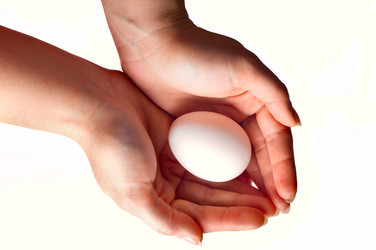 Similar image 1683342