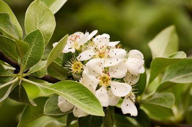 Similar image 1683344