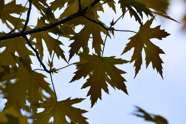 Similar image 1683348