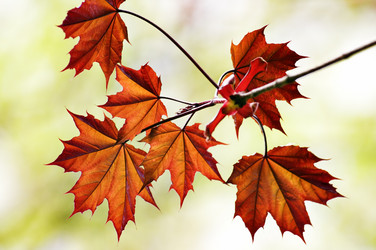 Similar image 1683356