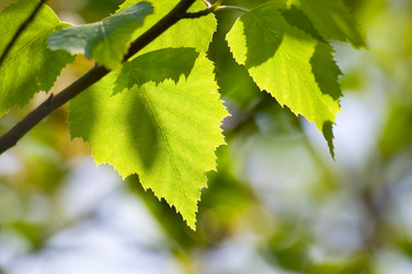 Similar image 1683363