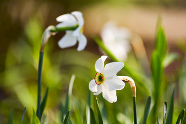 Similar image 1683364