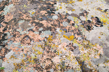 Similar image 1683365