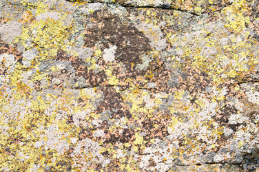 Similar image 1683366