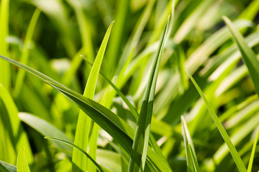 Similar image 1683367