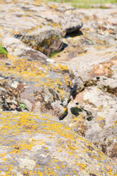 Similar image 1683368