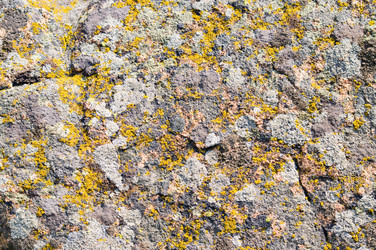 Similar image 1683369