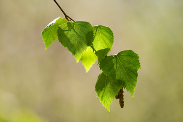 Similar image 1683371