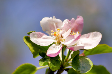 Similar image 1683372