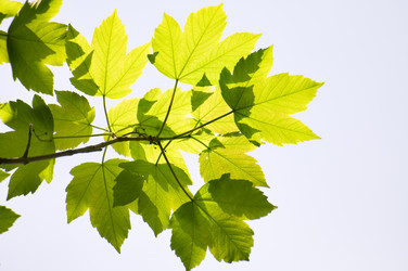 Similar image 1683374