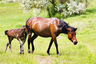 Similar image 1683375