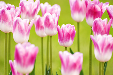 Similar image 1683378