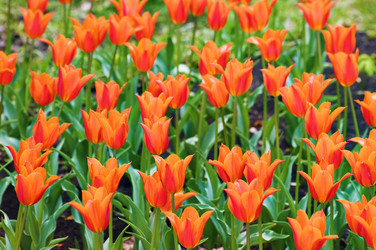 Similar image 1683379