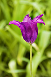 Similar image 1683380