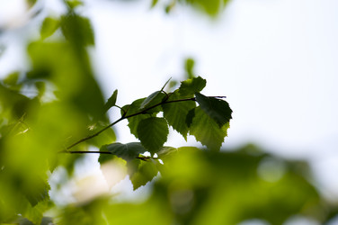 Similar image 1683382