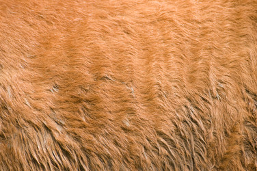 Similar image 1683388