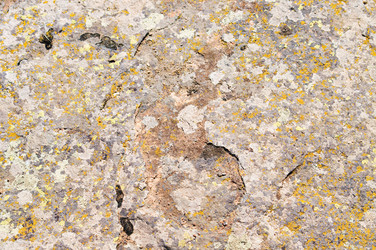 Similar image 1683387