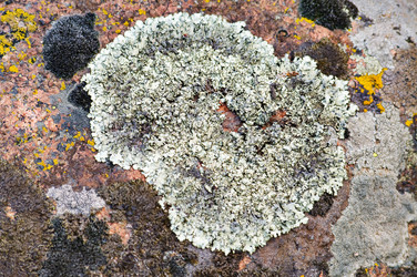 Similar image 1683402