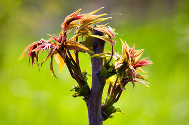 Similar image 1683404