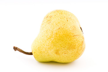 Similar image 1683406