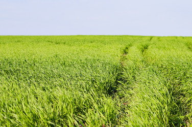 Similar image 1683407