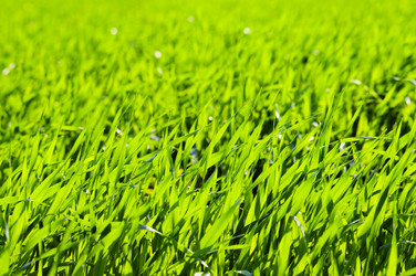 Similar image 1683410