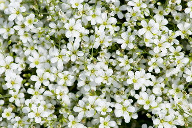 Similar image 1683411