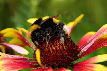 Similar image 1683417