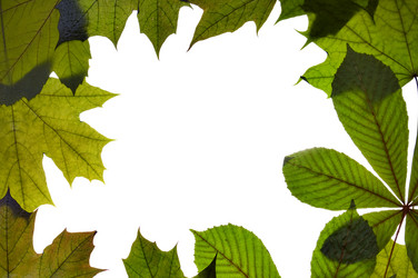 Similar image 1683426