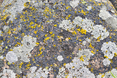 Similar image 1683427