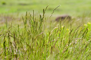 Similar image 1683429