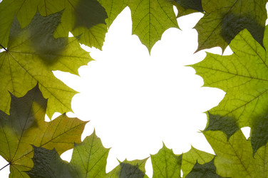 Similar image 1683430