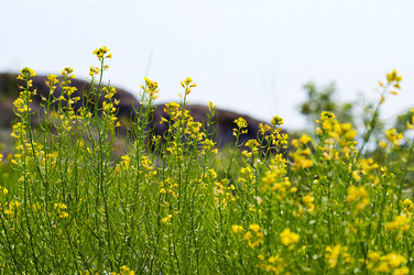 Similar image 1683431