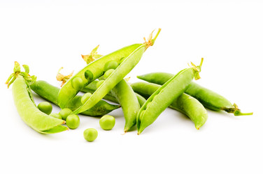 Similar image 1683436