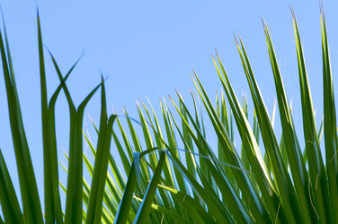 Similar image 1683446