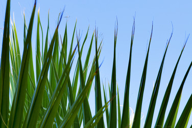 Similar image 1683447