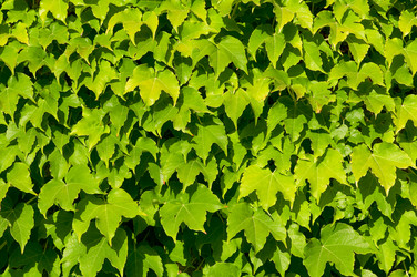 Similar image 1683451