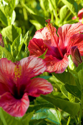 Similar image 1683452