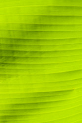 Similar image 1683460