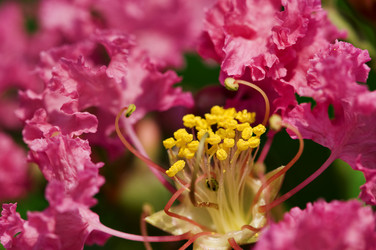 Similar image 1683463