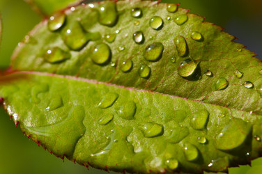 Similar image 1683465