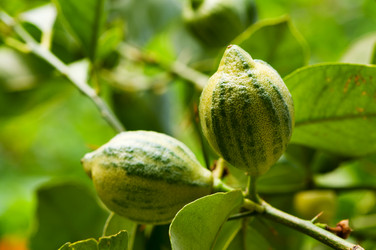 Similar image 1683467