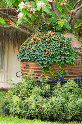 Similar image 1683468