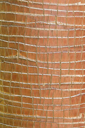 Similar image 1683472