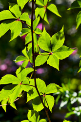 Similar image 1683477