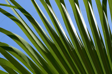 Similar image 1683478