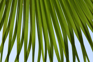 Similar image 1683479