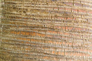 Similar image 1683480