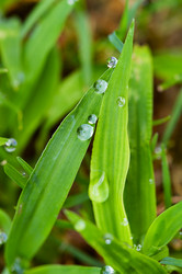 Similar image 1683481