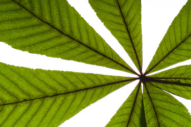 Similar image 1683484